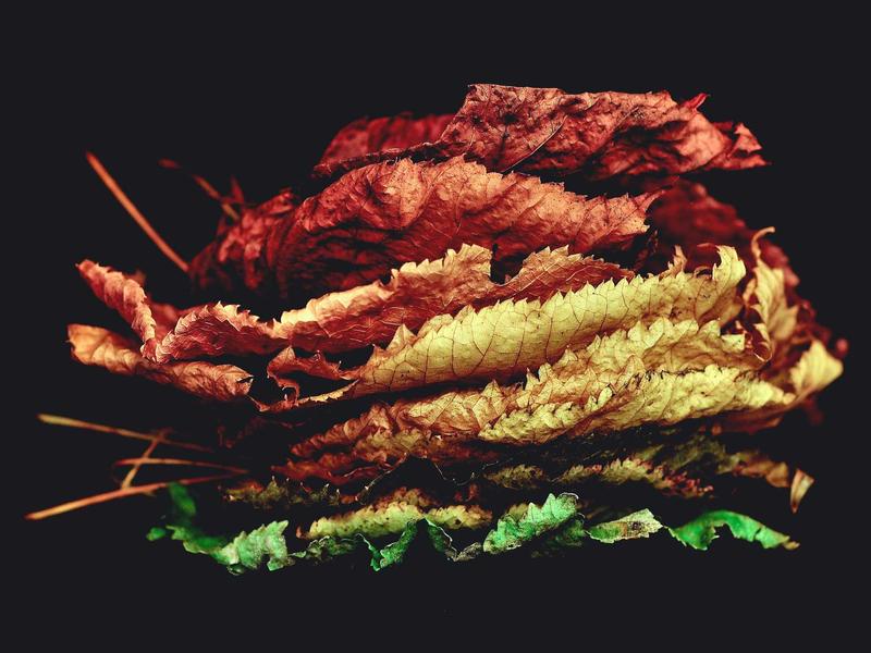 生化奇兵<br>kclfxfu.cn 极乐城销魂